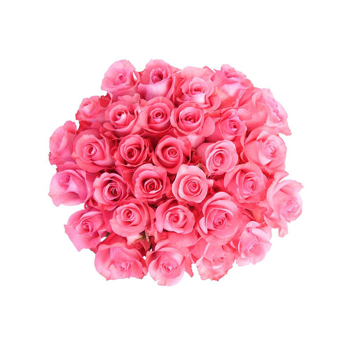 pink love roses